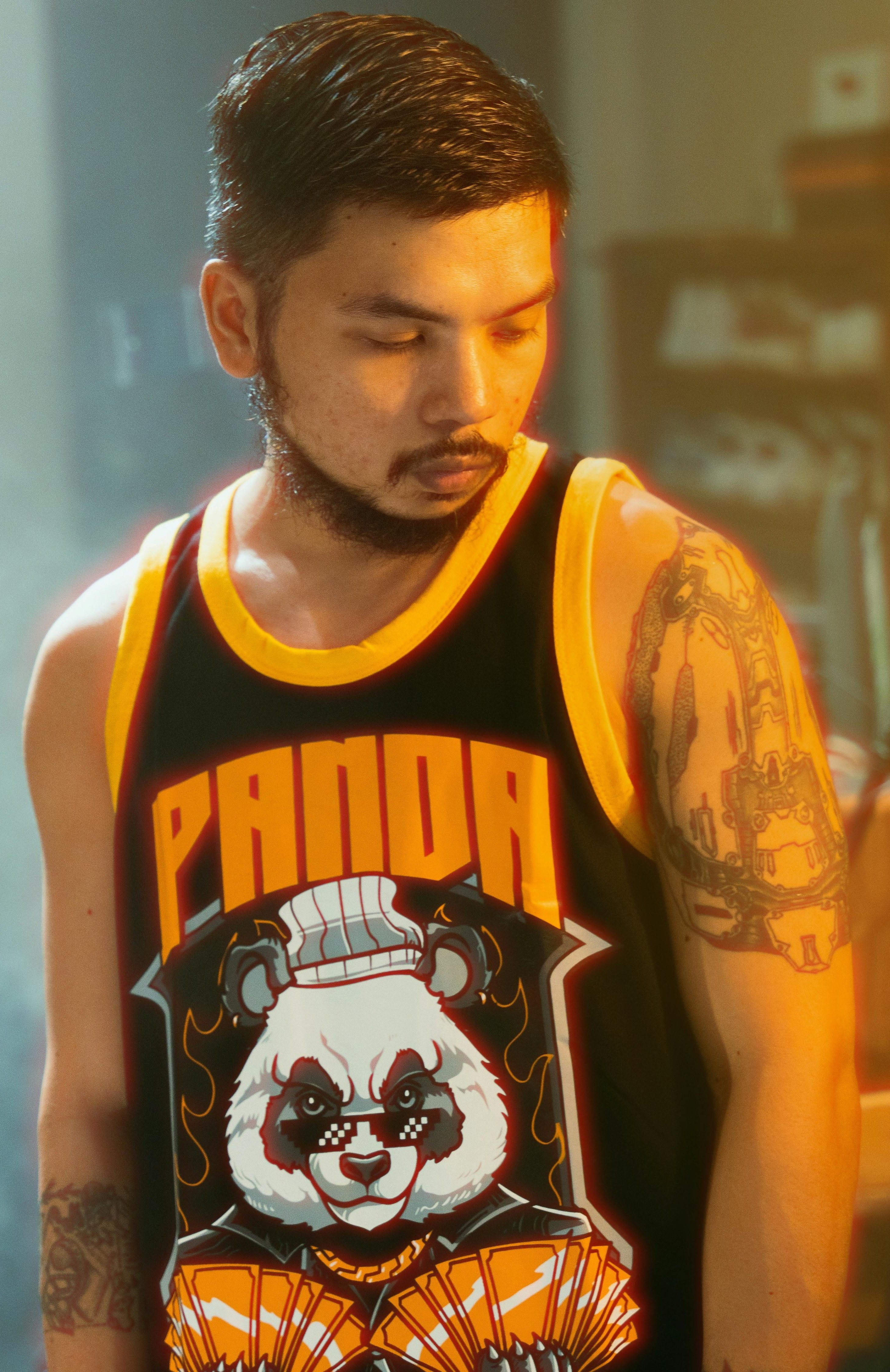 PANDA Top